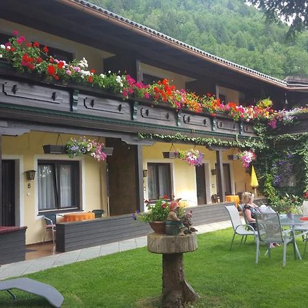 Alpen-Appartementhof Bad Hofgastein Luaran gambar